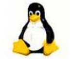 Zone Web comienza a distribuir las soluciones Linux de Novell